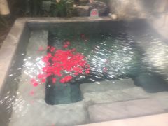 -和顺柏联温泉