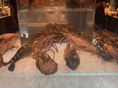 -Ministry of Crab(科伦坡店)