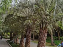 -苏州河梦清园环保主题公园