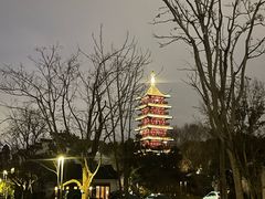 -南湖宾馆·鸳湖阁全日制餐厅