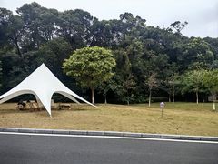 -广州市流溪河国家森林公园