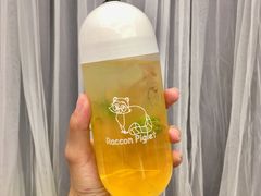 -浣熊柯尔鸭土拨鼠·电玩咖