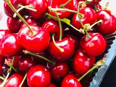 -心乐生活新鲜屋(星海广场店)