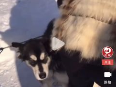 -亚布力新体委滑雪场