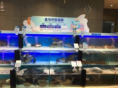 -盒马鲜生(杭州运河上街店)