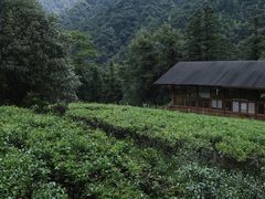 -姑婆山旅游区