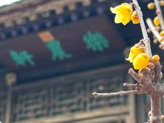 -颐和园