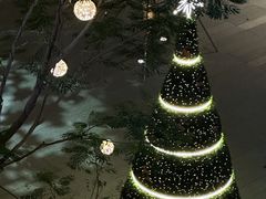 -深圳湾万象城(南山店)