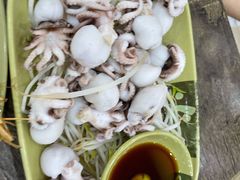 芥末海菊花-贞姨美食·老字号海鲜大排档