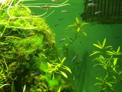 -多彩贵州城极地海洋世界