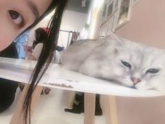 -浣熊柯尔鸭土拨鼠·电玩咖