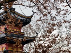 -狼山风景名胜区