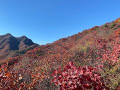 -水峪民俗村