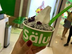 -Salud撒露欧洲冻酸奶(蓝色港湾店)