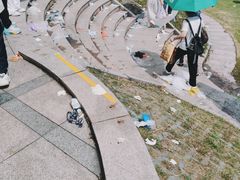 -观潮胜地公园