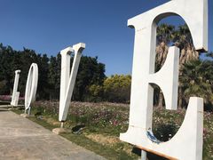 -广东花都香草世界旅游度假区