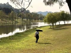 -东莞植物园