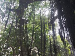 -小洲村