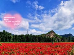 -百里山水画廊