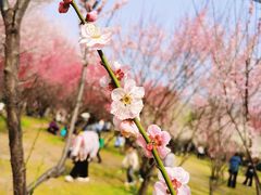 -蜀冈西峰生态公园