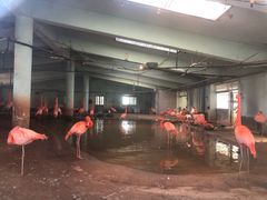 -石家庄市动物园