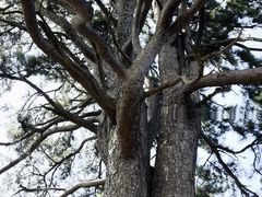 -终南山南五台景区