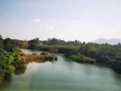 -万绿园