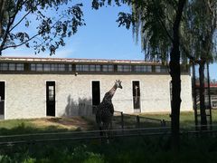 -石家庄市动物园