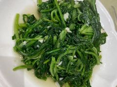清炒茼蒿-旅宁大酒店