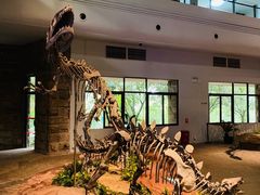 -自贡恐龙博物馆