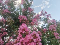 -天津盘山风景名胜区