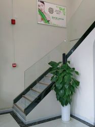 -苗医生草本科技祛痘