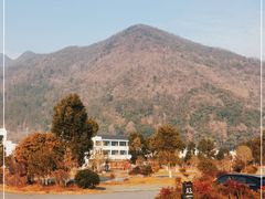 -石台牯牛降景区