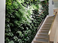 大堂-Peet's Coffee皮爷咖啡(大学路店)