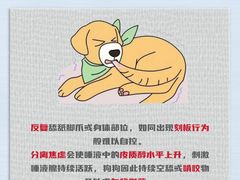 -翊宠yipet猫狗购宠庄园犬舍•猫舍