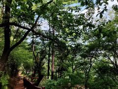 -终南山南五台景区