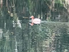 -贵阳市花溪国家城市湿地公园