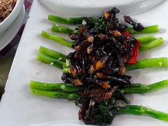 -陶缘一号·四季缘·老字号顺德菜·户外婚礼家宴(西滘店)