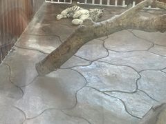 -宁波野生动物园