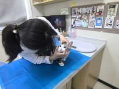 -美联众合动物医院·24h京西诊疗中心