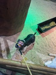 -Zoolung Zoolung动物主题公园(海信广场店)