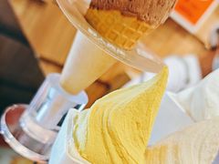 -野人先生现做冰淇淋(北京顺义祥云小镇店)