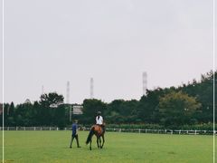 -松声马术俱乐部