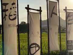 -光明小镇欢乐田园