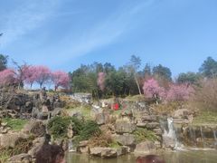 -秀丽东方