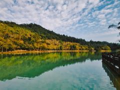 -广州白江湖森林公园