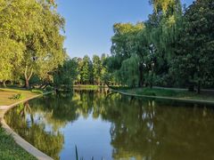 -上海共青森林公园