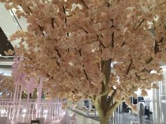 -奈雪的茶(国金中心店)