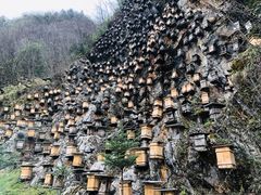 -神农架景区