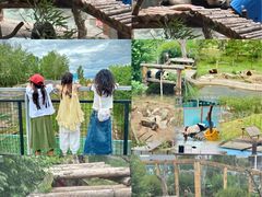 -青藏高原野生动物园